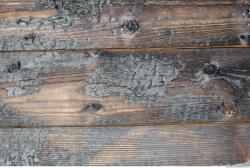 Photo Texture of Wood Burned